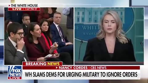 Leavitt SPARS with reporter after Trump calls Dems 'traitors'