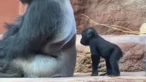 While everyone is at home