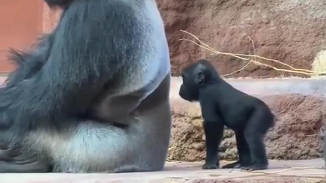 While everyone is at home