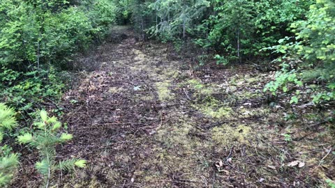 Road work time lapse before
