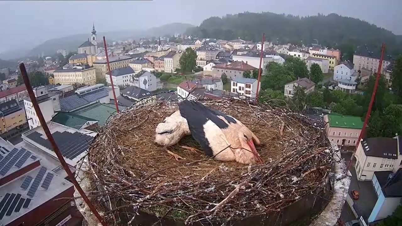 A caring parent protects their little ones from bad weather 🌧🌩🌪👍🙂 06.06.2025