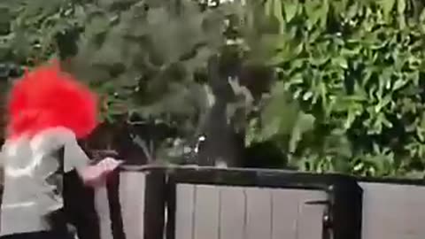Funny scare pranks 🤣😄😆 #funny #fyp #foryou #scary #haha #funnyvideos #prank #scared
