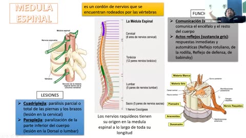 AULA 20 REGULAR 2026 - 1 | Semana 01 | Psicología