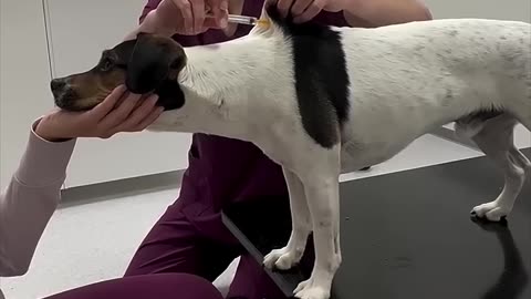 The Moment He Knew… He Messed Up