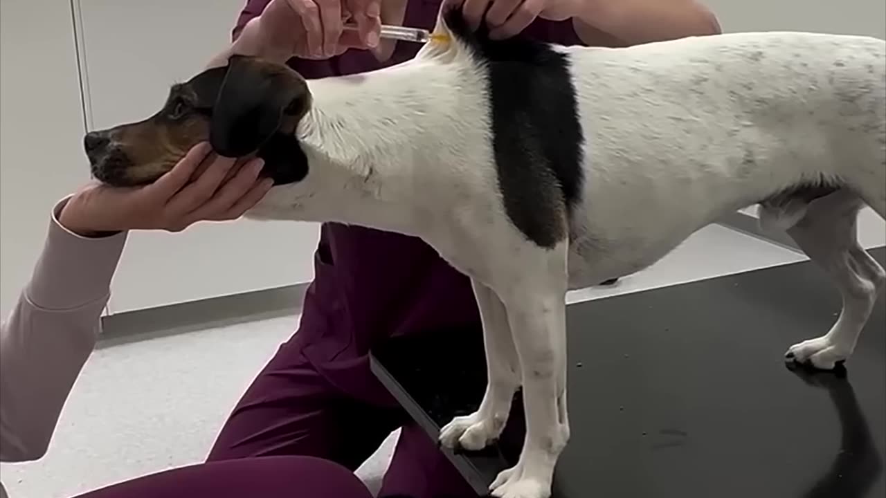 The Moment He Knew… He Messed Up