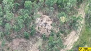 🎯🛸 Ukraine Russia War | Queen Hornet Drone Strikes Enemy Shelters in Lyman | RCF