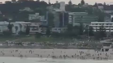 New South Wales, Australia Dec. 14 A mass shooting occurred at Bondi Beach