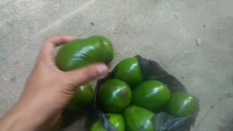 Avocado yummy