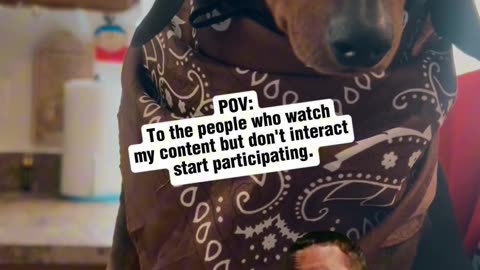 Start Pawticipating Partner!