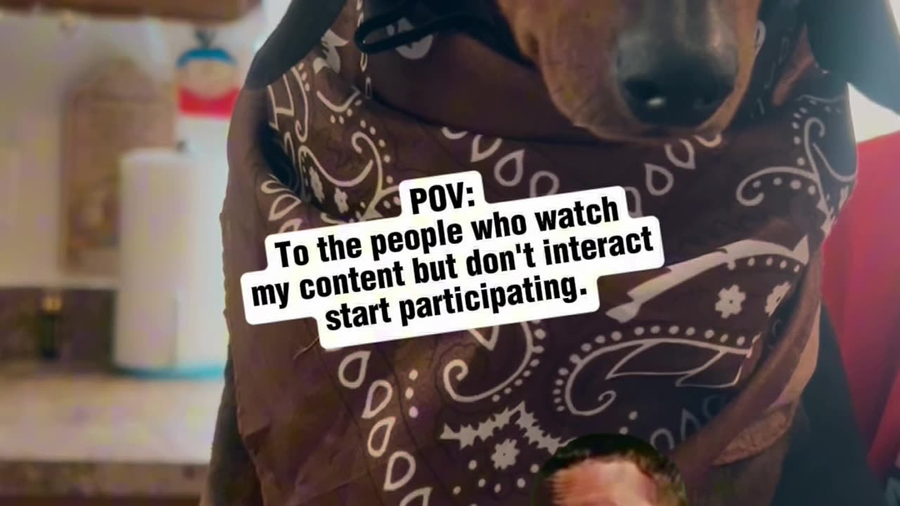 Start Pawticipating Partner!