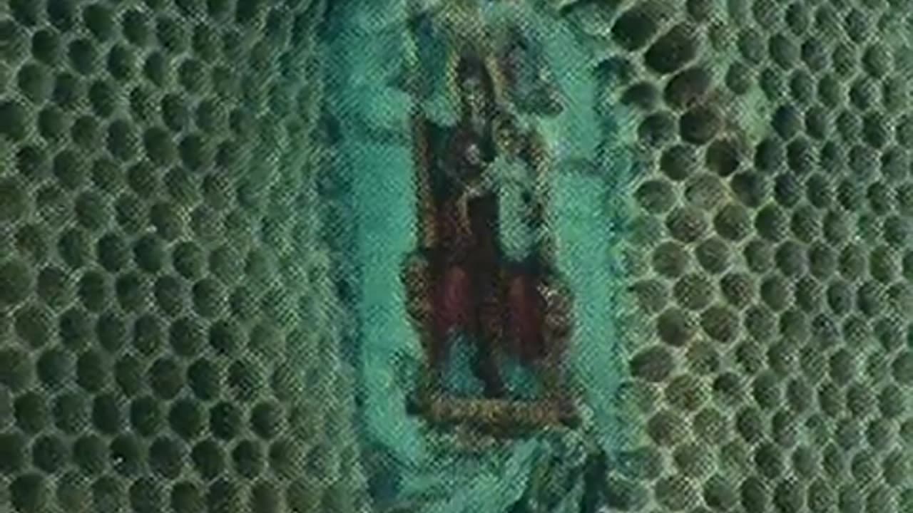 BEES🐝 and Holy Images