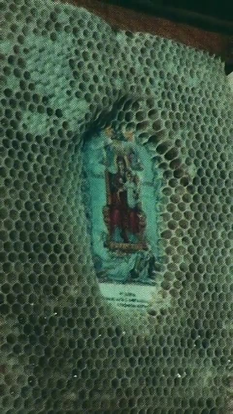 BEES🐝 and Holy Images