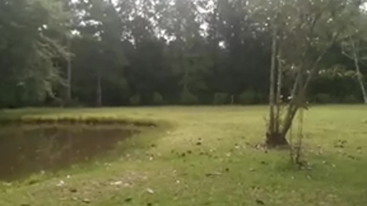 the ones fighting child trafficking fake versus reality