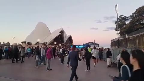 As Q followers near the end of a marathon of infamy, normies begin their journey of awakening