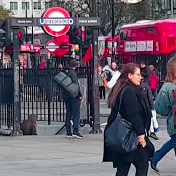 English language course