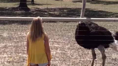 Unforgettable Funny Videos Compilation 🗣️😱😂😍 | Funniest Moments You’ll Ever See!