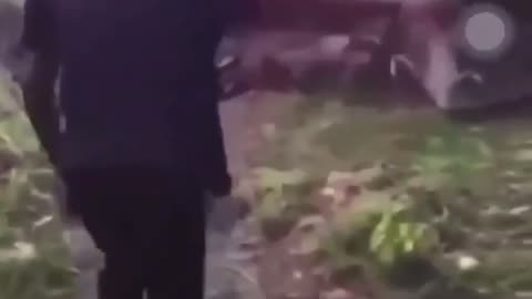 🤯🐯 What a Beast! The Wildest Animal You've Never Seen! | FunFM