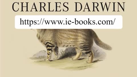 iEBooks