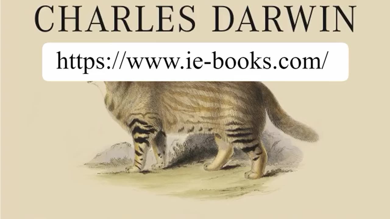 iEBooks