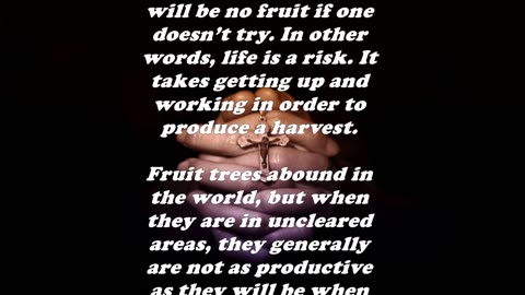 Matthew 13:8 - Daily Bible Verse Commentary
