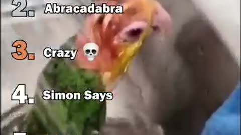 #funny videos #comedy