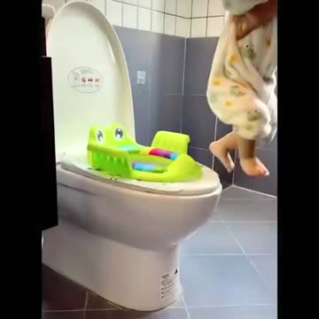 Baby Toilet Training Seat