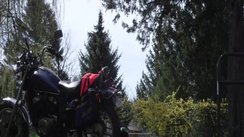 honda shadow 3rd gear burn out