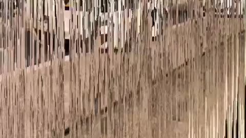 🤯💎 The LUXURIOUS World of Oman's K-Cars Revealed! | LuxurySportsCars