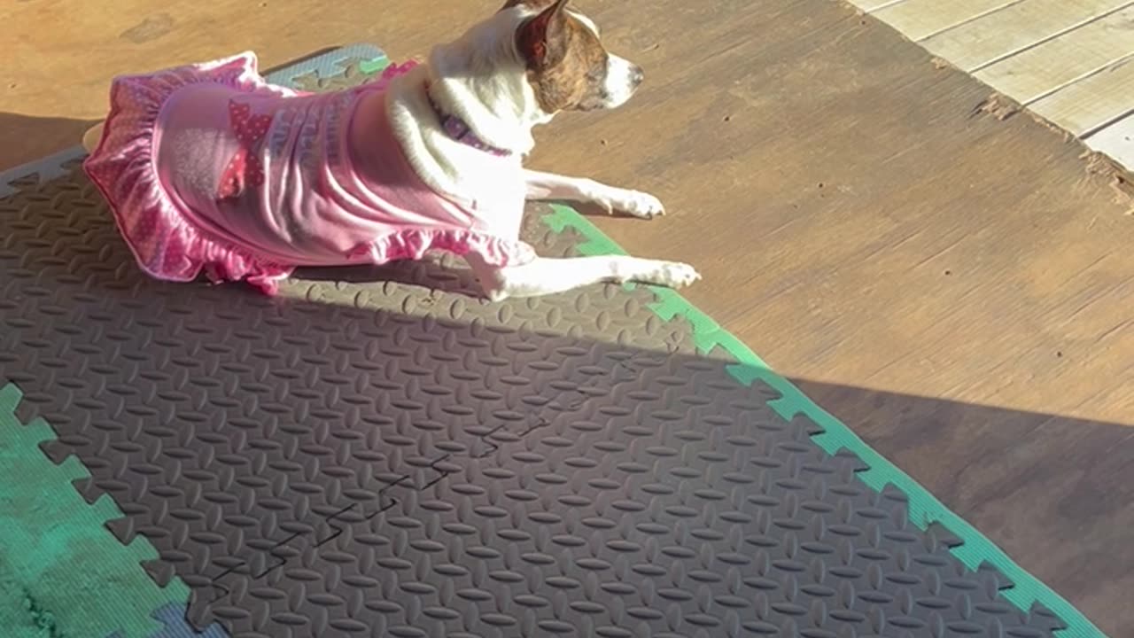Princess protects Paul while working out