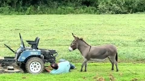 🤣👀 When They Say 'Hey, Pay Attention to Me Please!' | FunFM