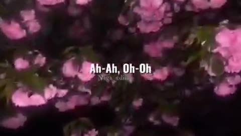 New song