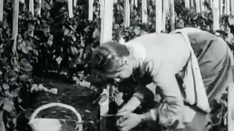1964 The Great War 01-26 On The Idle Hill Of Summer