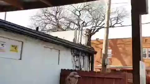 Messiah's Branch Mission Update! (02.10.2026)