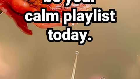 Let this little garden be your calm playlist today #calmmusic #meditation #natureambience