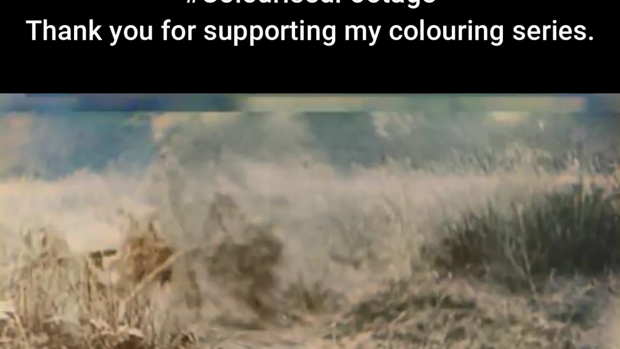 RC Goliath in Action Tank Destroyed 1944 #ColourisedHistory