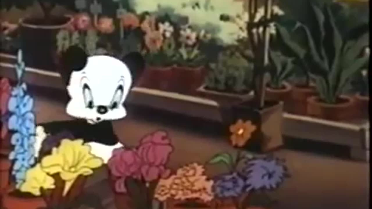 THE WACKY WEED_AndyPanda