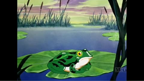 Rabbit Season or Duck Season? Watch This Frog Croak Up Close!