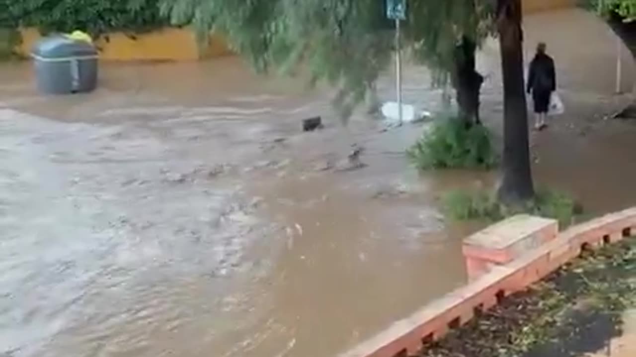 Pamjet