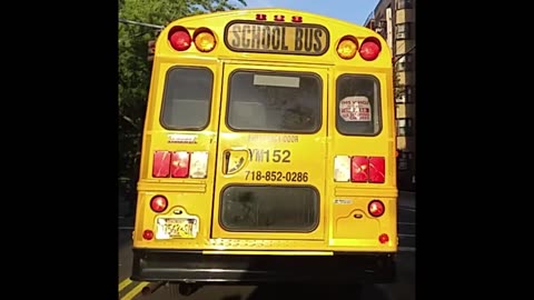 School Bus