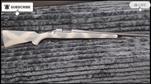 Bergara b-14