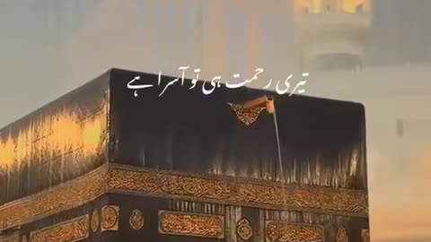 Beautiful video