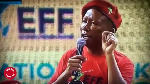 Slit the Throat of Whiteness: EFF - Rob Hersov on Triggernometry #eff #southafrica