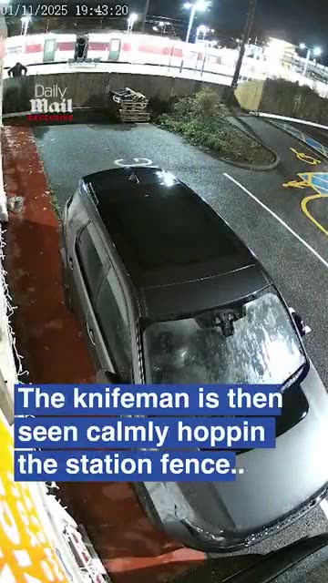 🚨 Shocking CCTV: Train Knifeman Calmly Walks Away After Mass Stabbing