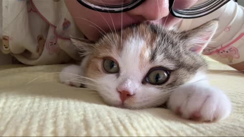 Can’t Stop Kissing My Cute Cat 😽