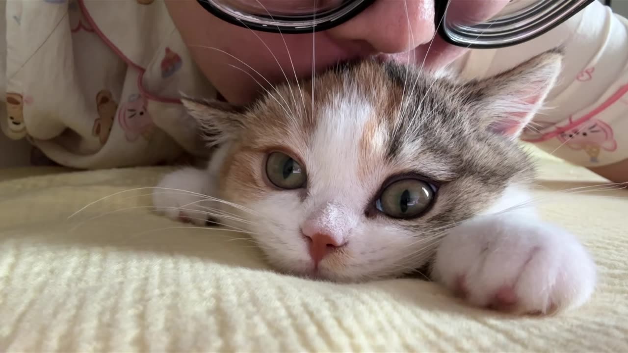 Can’t Stop Kissing My Cute Cat 😽