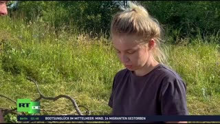 RT DE LIVE-TV