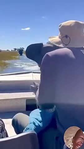 Pissed off bull elephant