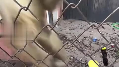 Dramatic Reactions Over Absolutely Nothing