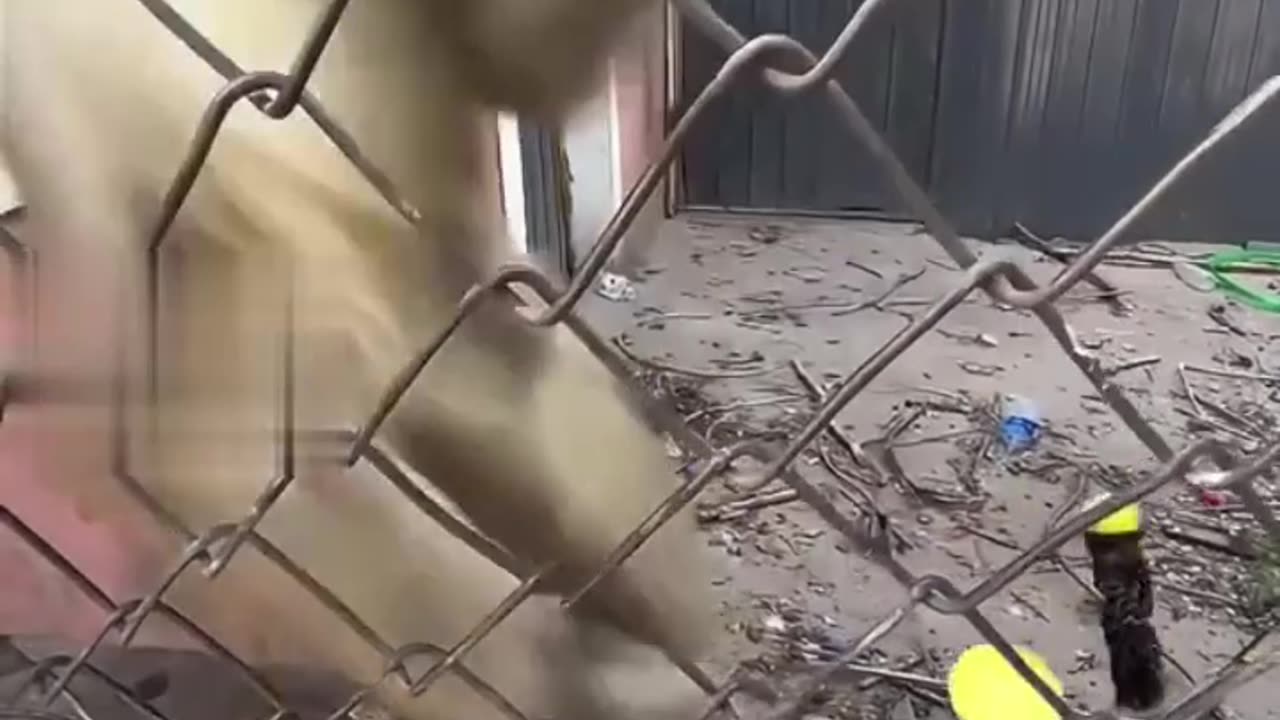 Dramatic Reactions Over Absolutely Nothing