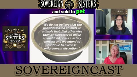 Pet Food Isn’t Even Legally “Food” — Here’s What It’s Really Made Of